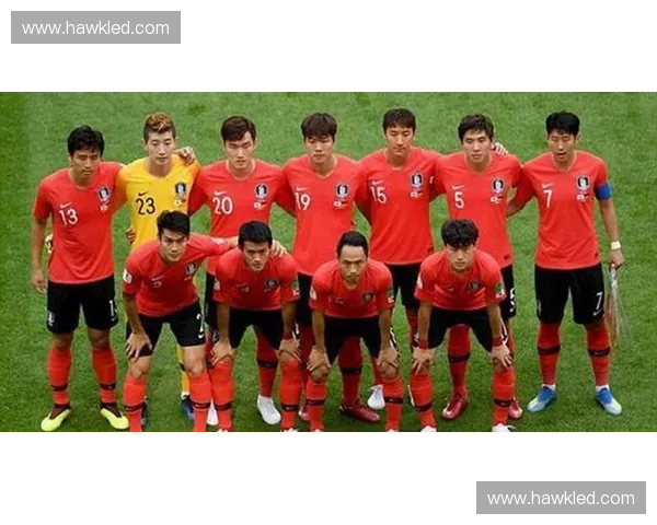 2025赛季CBA各支球队最新完整名单与球员详细阵容汇总大全